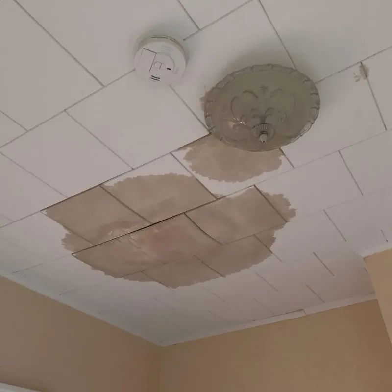 Ceiling Water Damage Repair in Jefferson, WI
