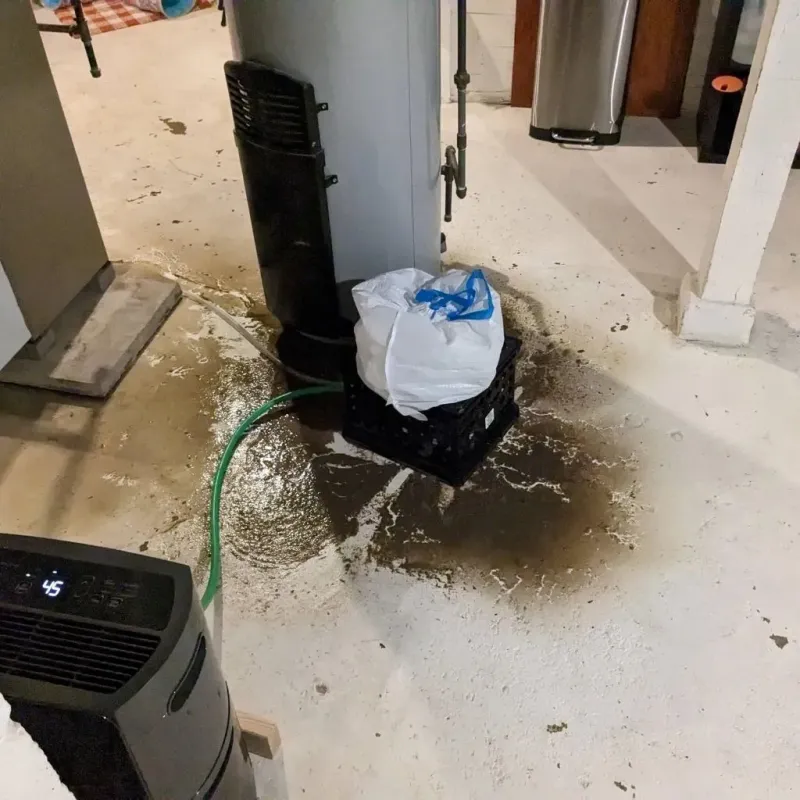 Sewage Backup Cleanup Service in Jefferson, WI